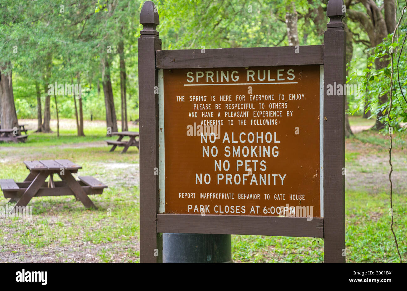 PoE Springs Park verfügt über eine Süßwasserquelle fließenden heraus zu den nahe gelegenen Santa Fe-Fluss in Nord-Zentral-Florida. Stockfoto