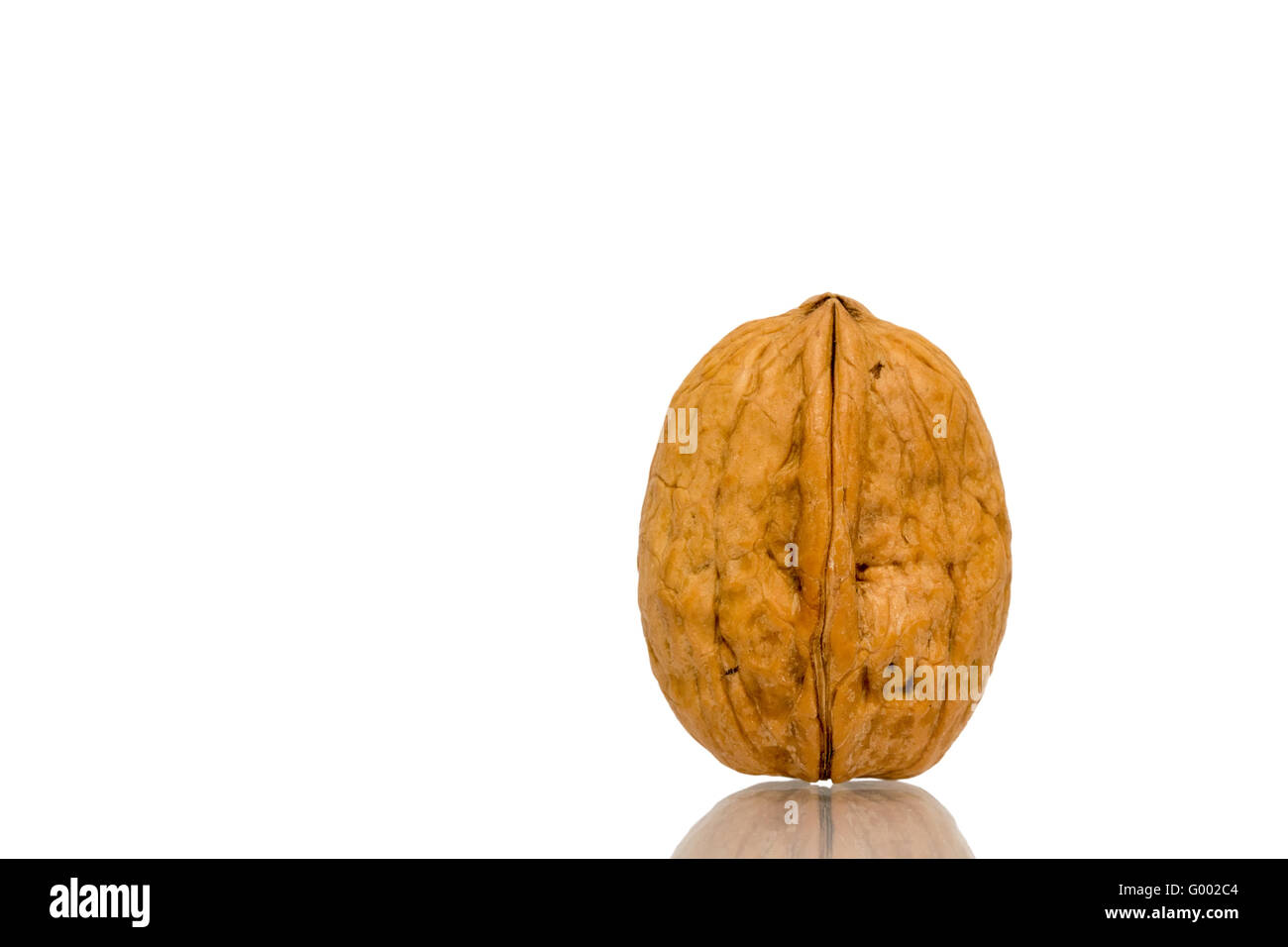 Walnuss Stockfoto