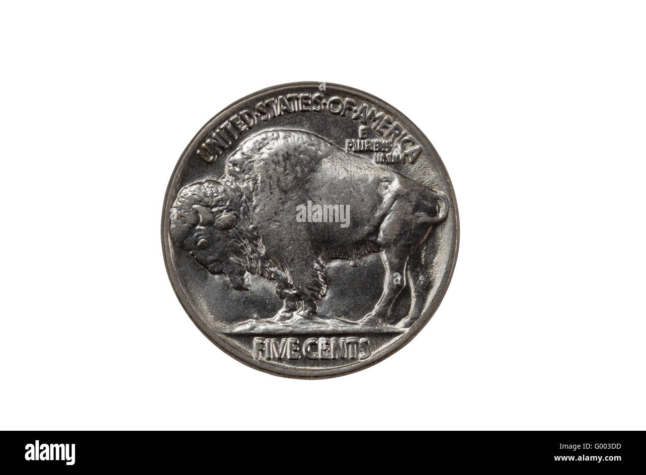 Unberührten Buffalo Nickel auf weißem Hintergrund Stockfoto