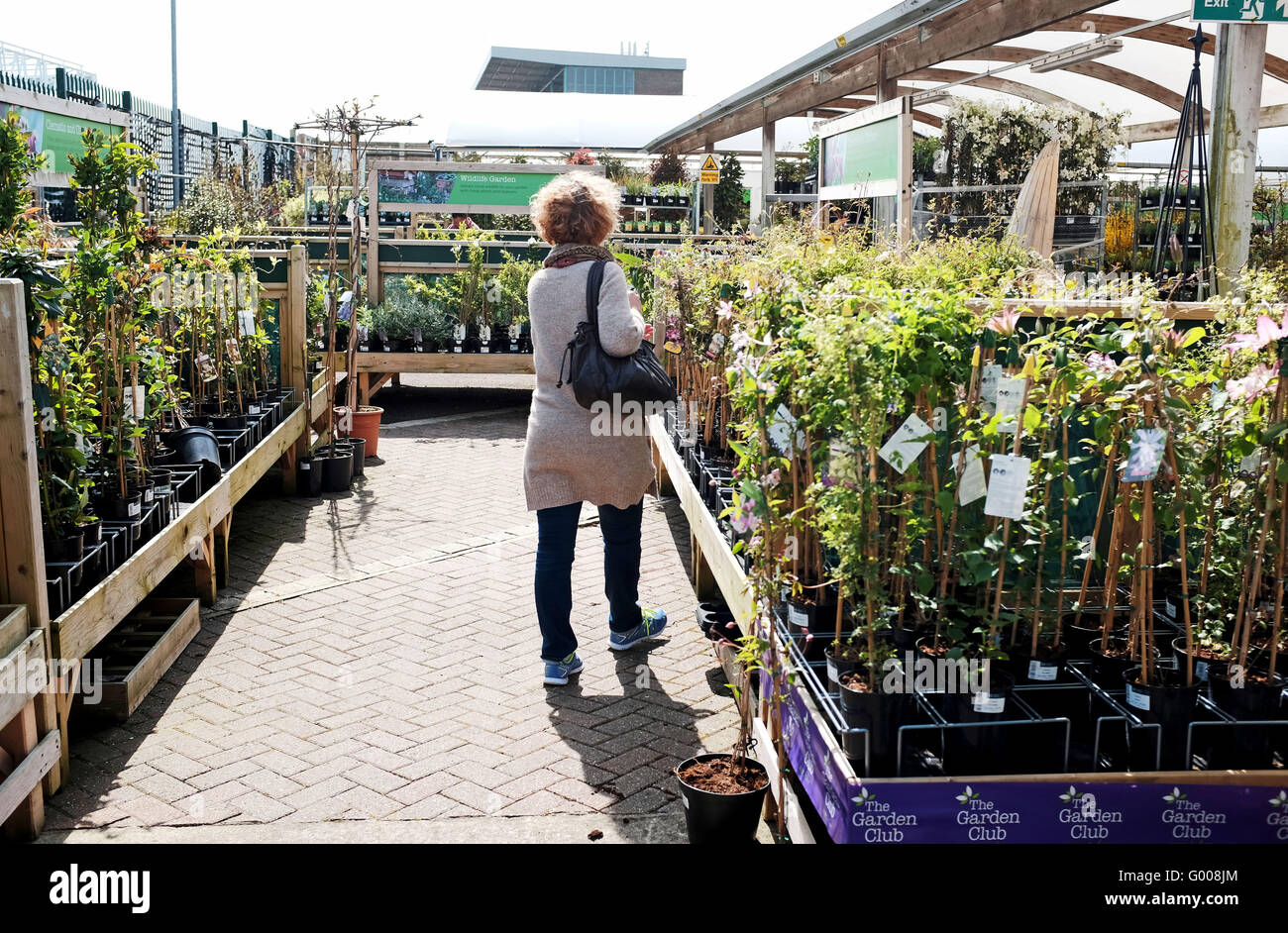 Frau auf der Suche um ein Wyevale Gartencenter Blick auf Pflanzen und Bäume zu kaufen Stockfoto