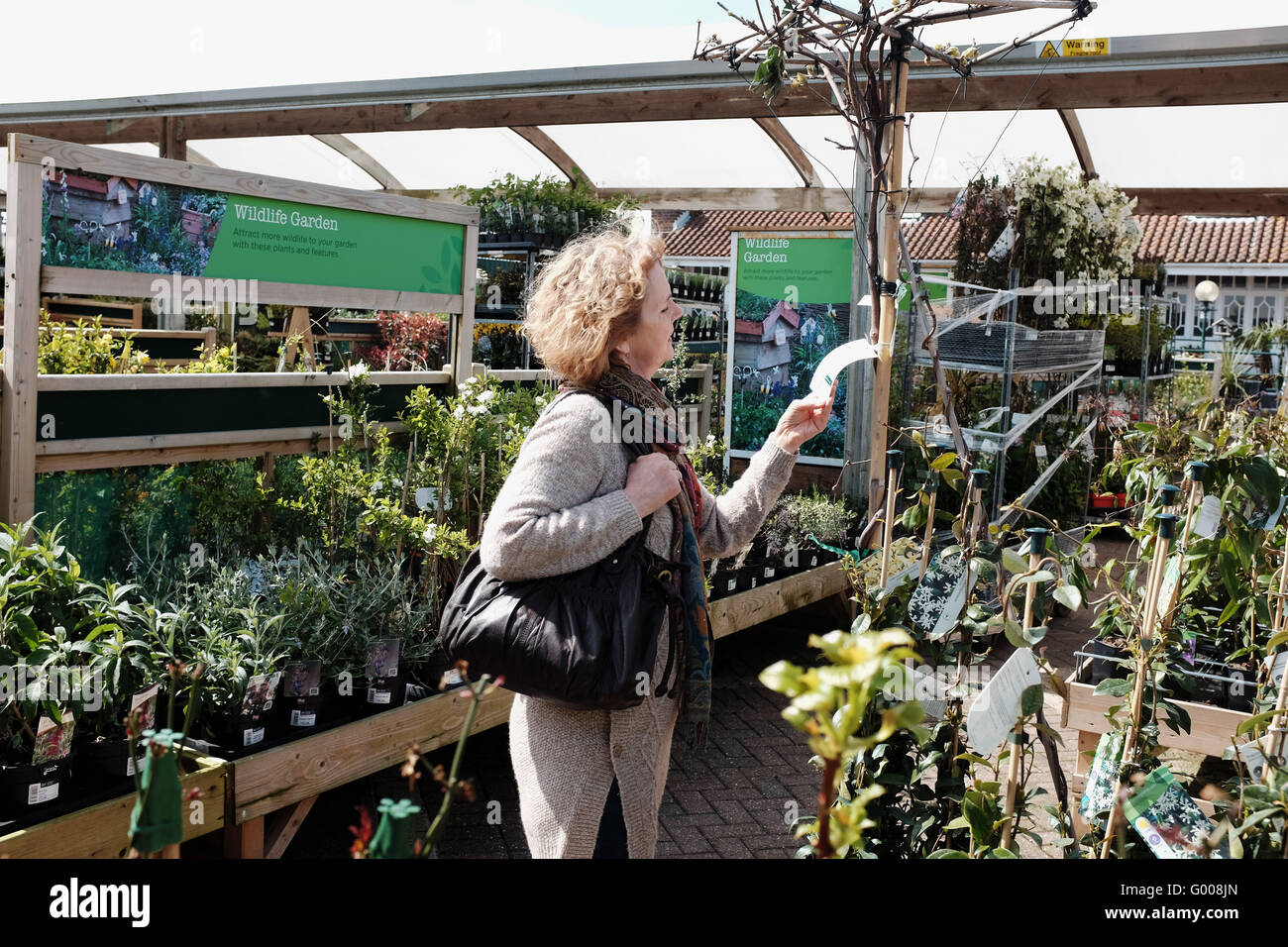 Frau auf der Suche um ein Wyevale Gartencenter Blick auf Pflanzen und Bäume zu kaufen Stockfoto