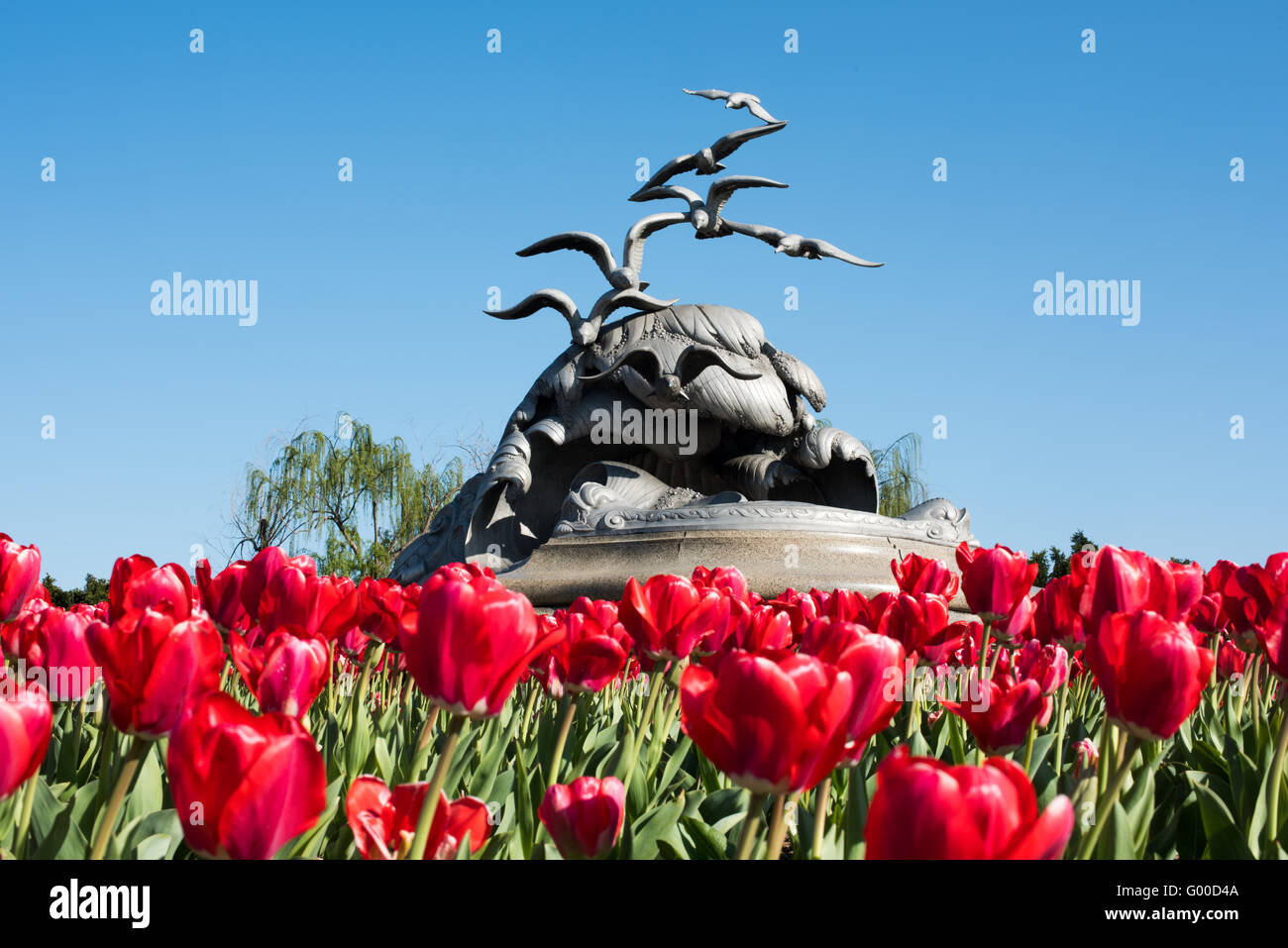 ARLINGTON Virginia // ARLINGTON, Virginia, Vereinigte Staaten — Eine lebendige Ausstellung roter Tulpenblüten vor dem Navy-Merchant Marine Memorial im Lady Bird Johnson Park. Die Frühlingsblumen bilden einen auffälligen Vordergrund für die Aluminiumskulptur aus Möwen und Wellen, die Teil der Gedenkstätte zu Ehren von Marinepersonal und Handelsschiffen ist, die im Ersten Weltkrieg dienten Stockfoto
