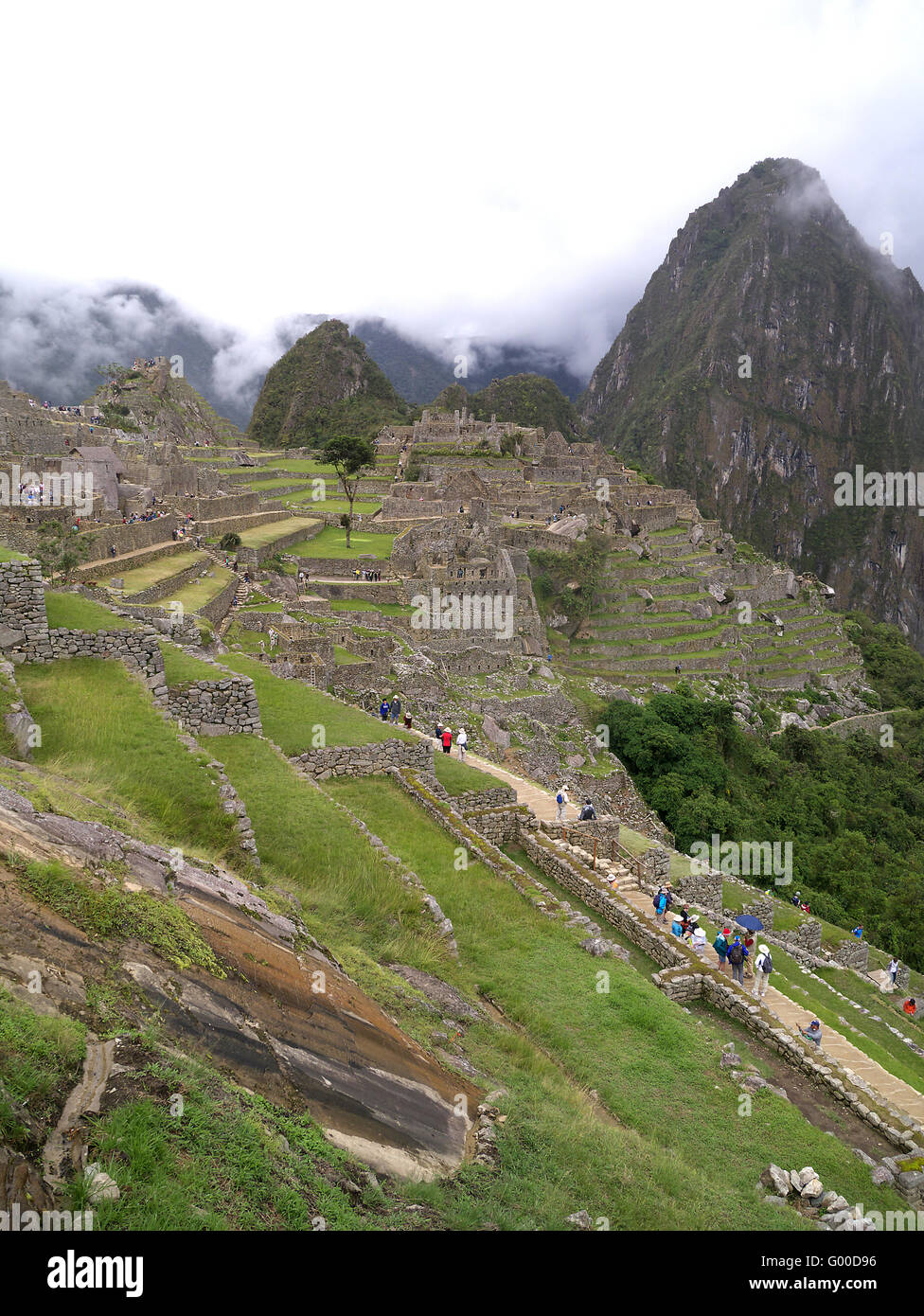 Panorama Machu Picchu, Peru Stockfoto