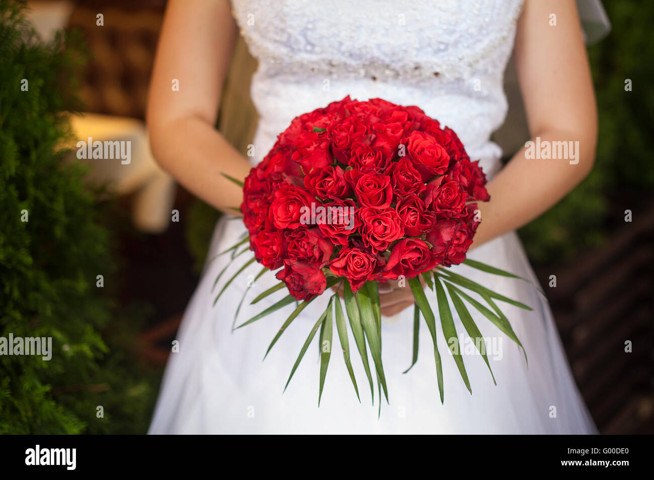 Hochzeit Bouquet von roten Rosen und Blätter in Händen der Bräute Stockfoto