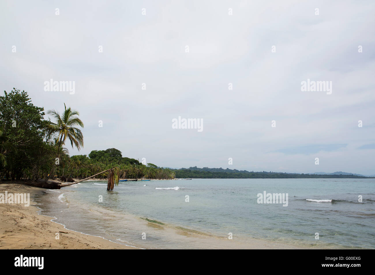 Playa Manzanillo in Costa Rica. Das Karibische Meer runden gegen den Strand. Stockfoto