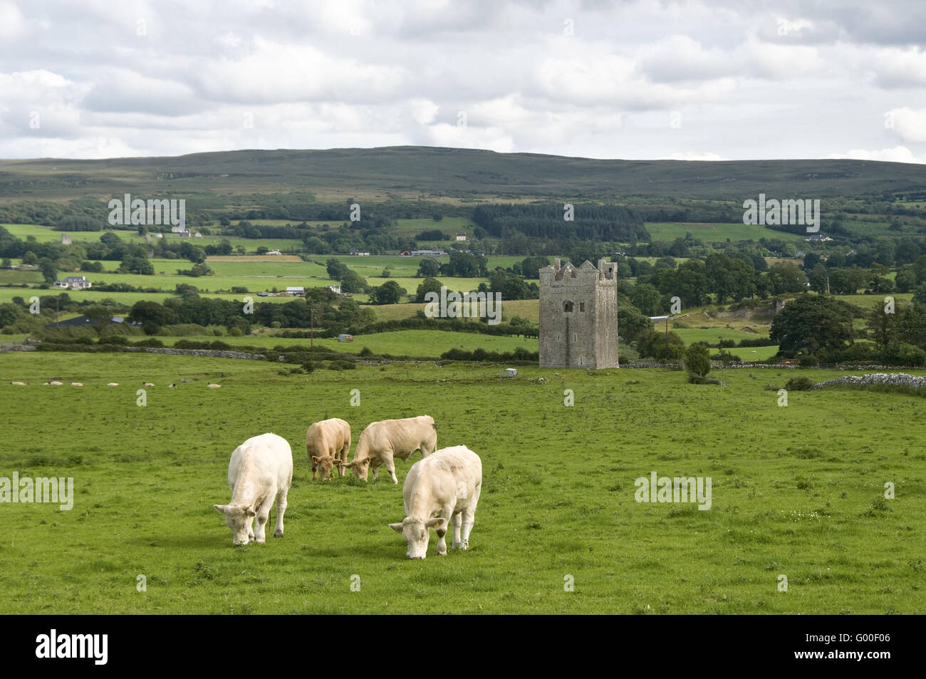 Alter Turm in Irland Stockfoto