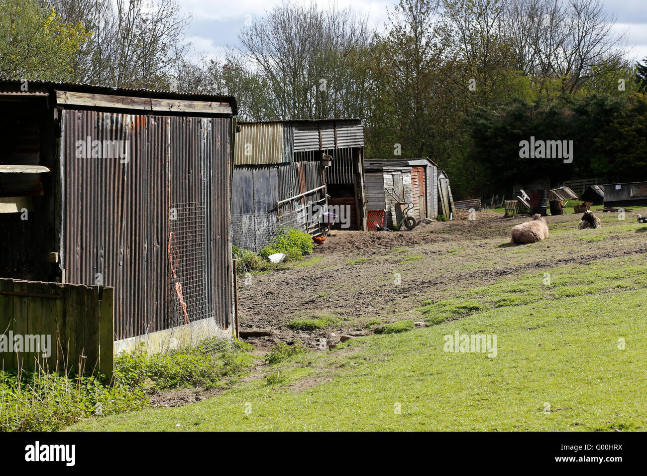 Kleinfarm in Otley, West Yorkshire. Stockfoto