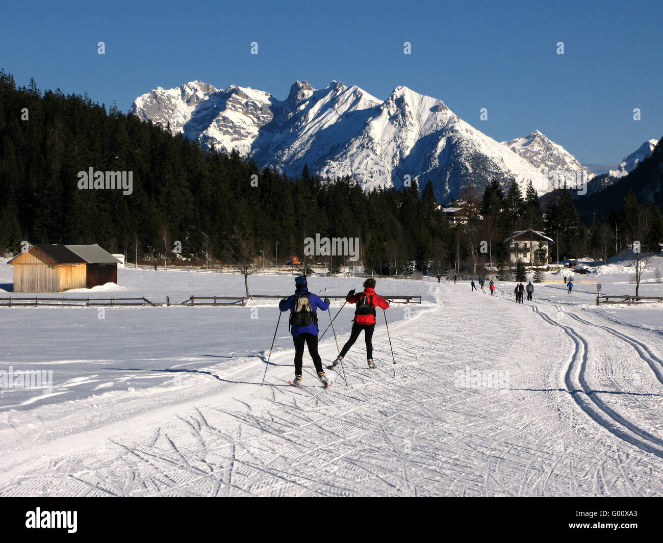 Cross-Country siking Stockfoto