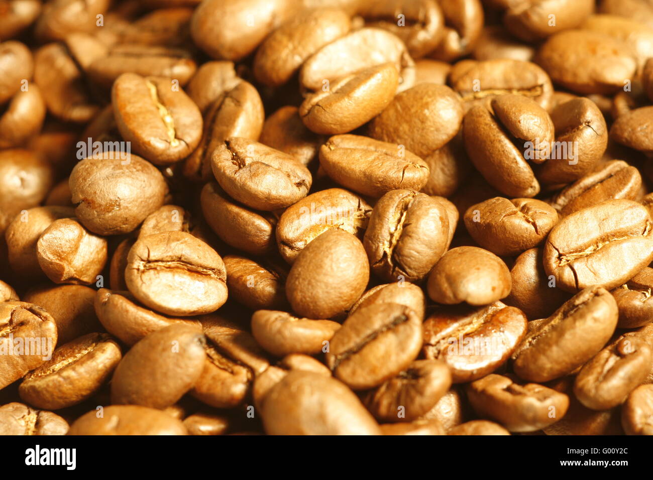 Kaffee Bohnen gut geeignet für einen Hintergrund Stockfoto
