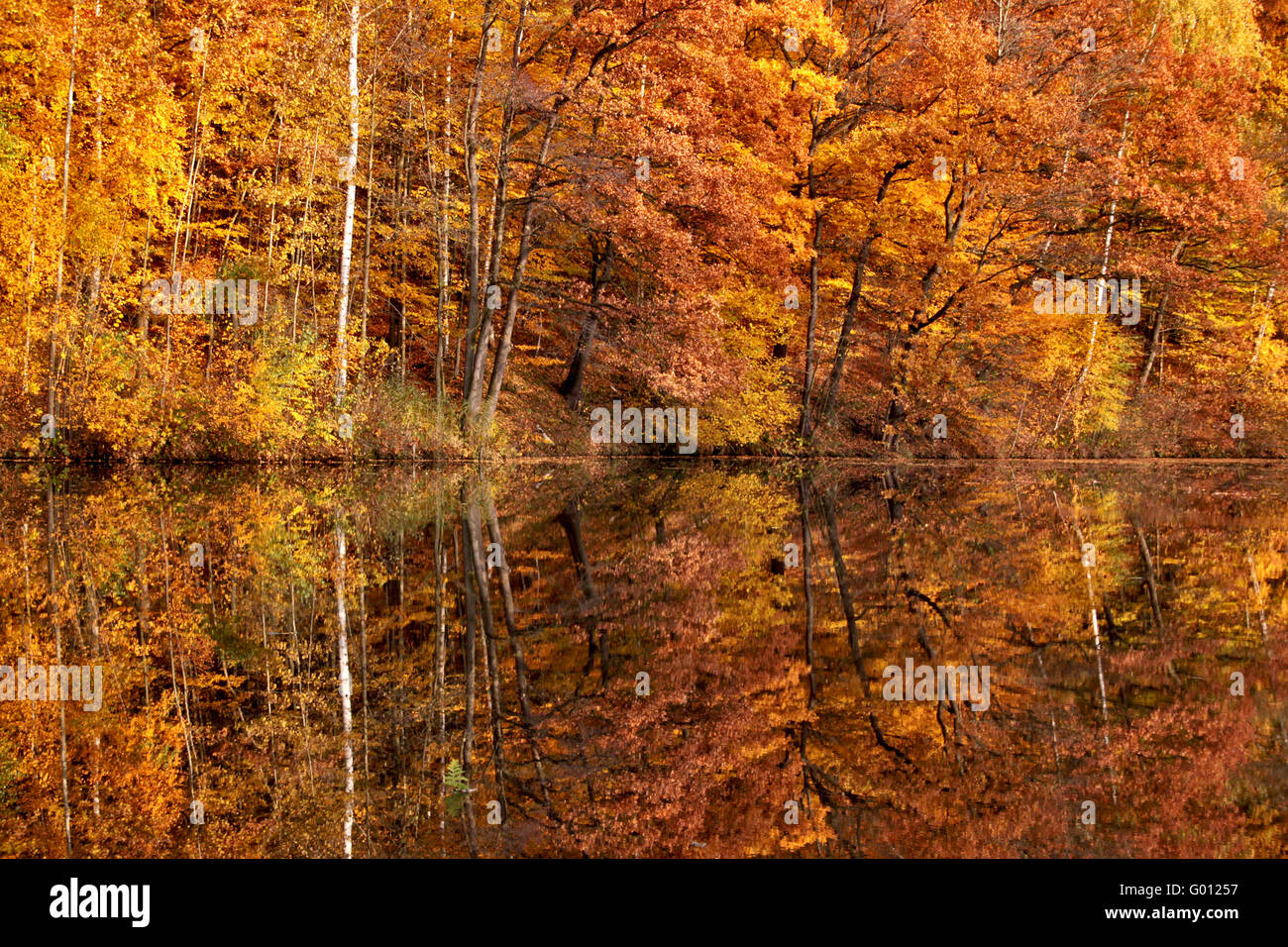 Herbst im Spiegel Stockfoto