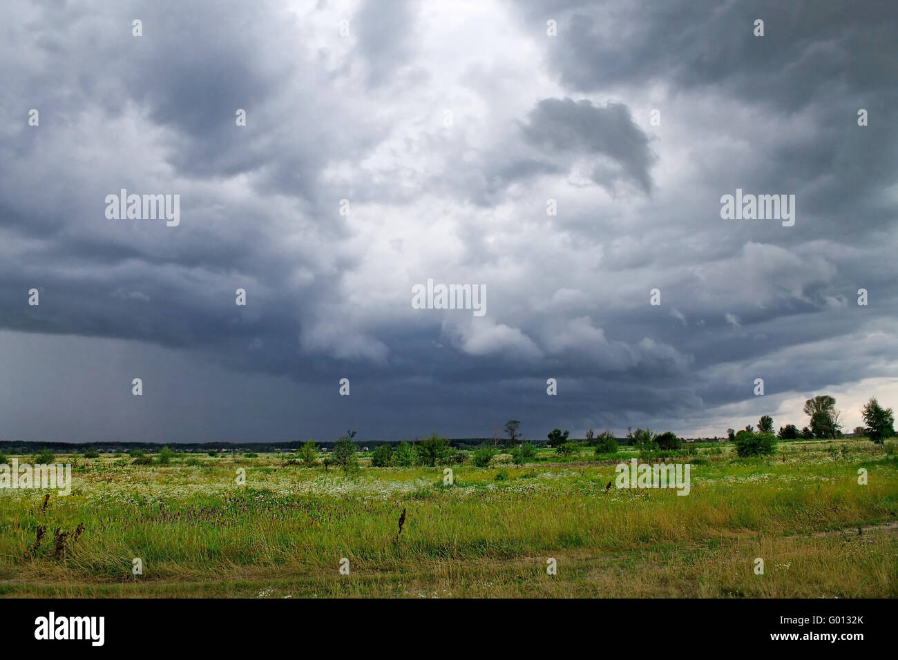 Landschaft vor einem Regen im Sommer Stockfoto