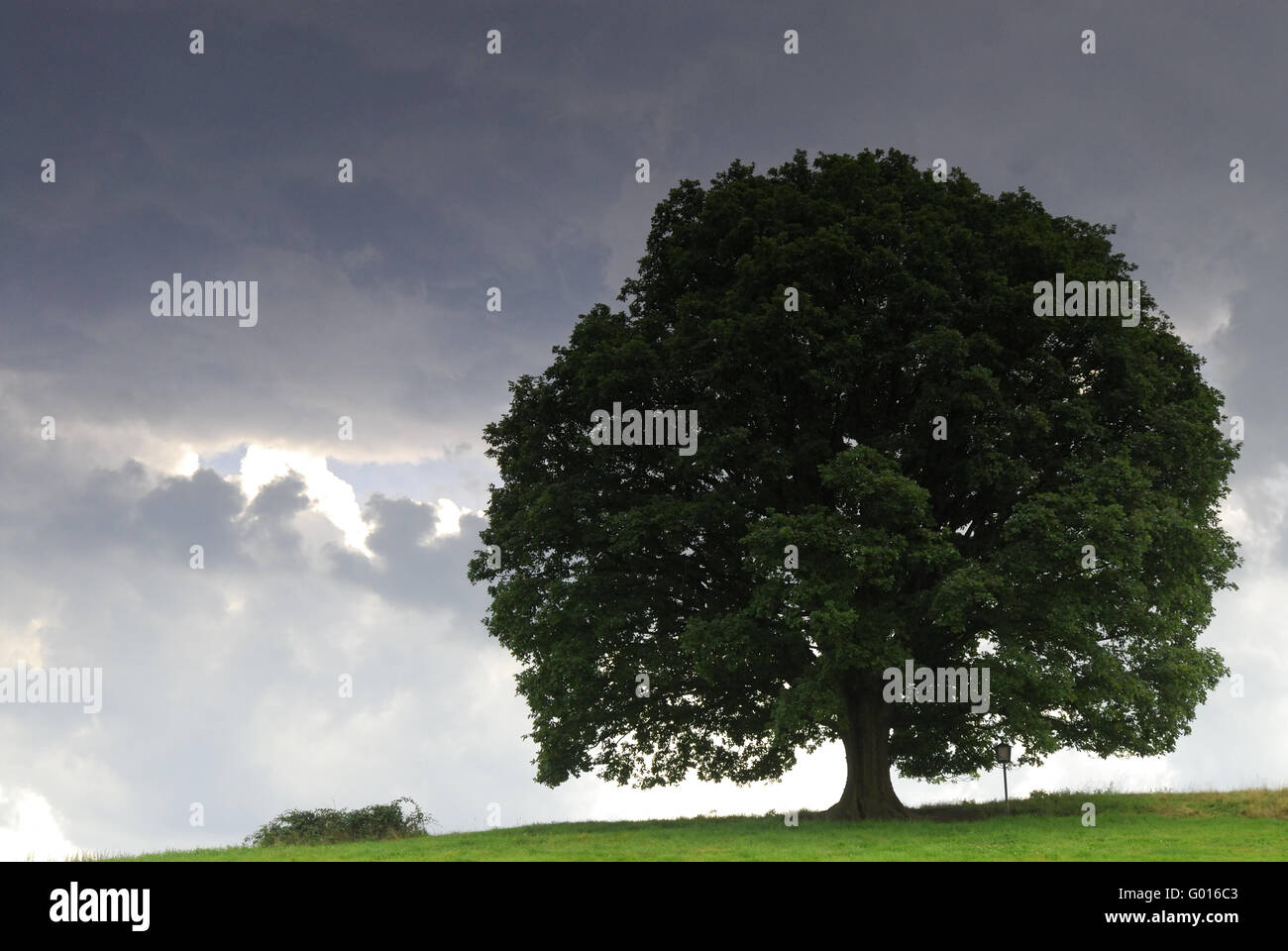 Böhmische Schweiz, Tschechische Republik Stockfoto