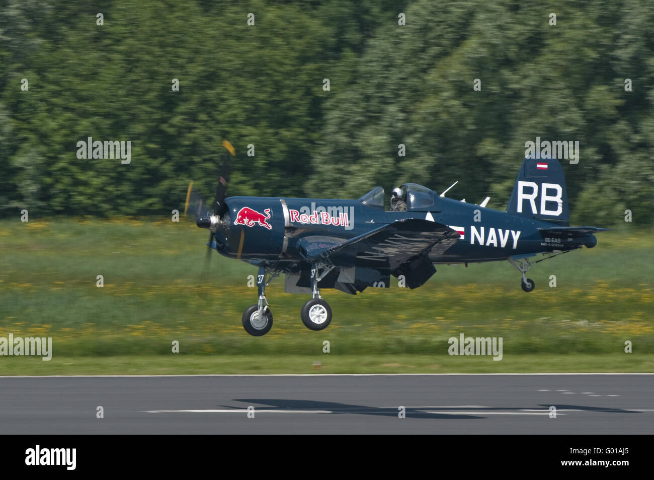 Corsair F4U-4 fliegen RedBull Stockfoto