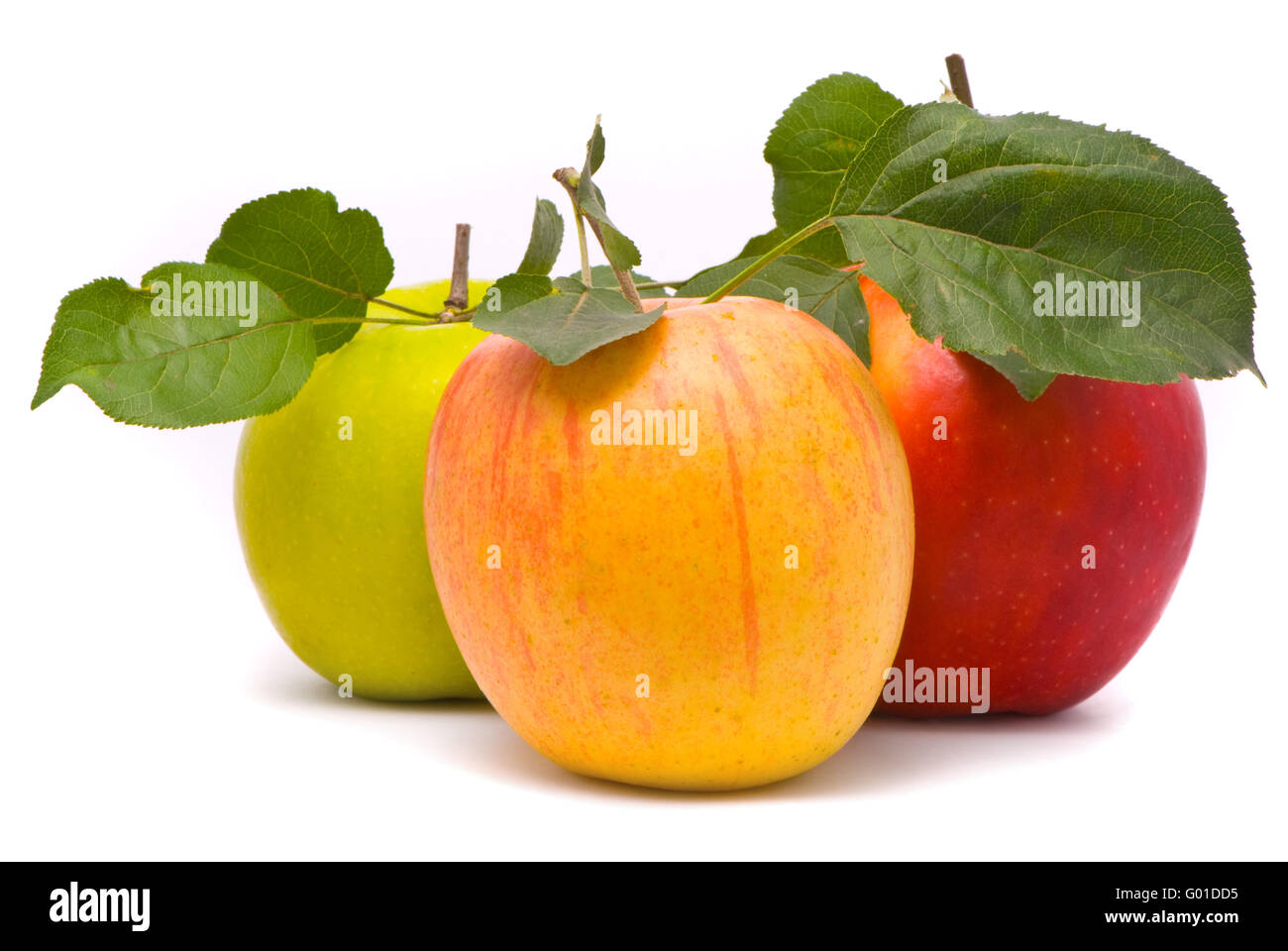 rote, gelbe und grüne frische Äpfel mit Blättern auf Studio weiß Stockfoto
