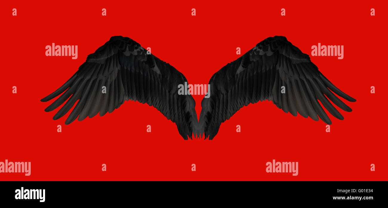 Black Wings Stockfoto