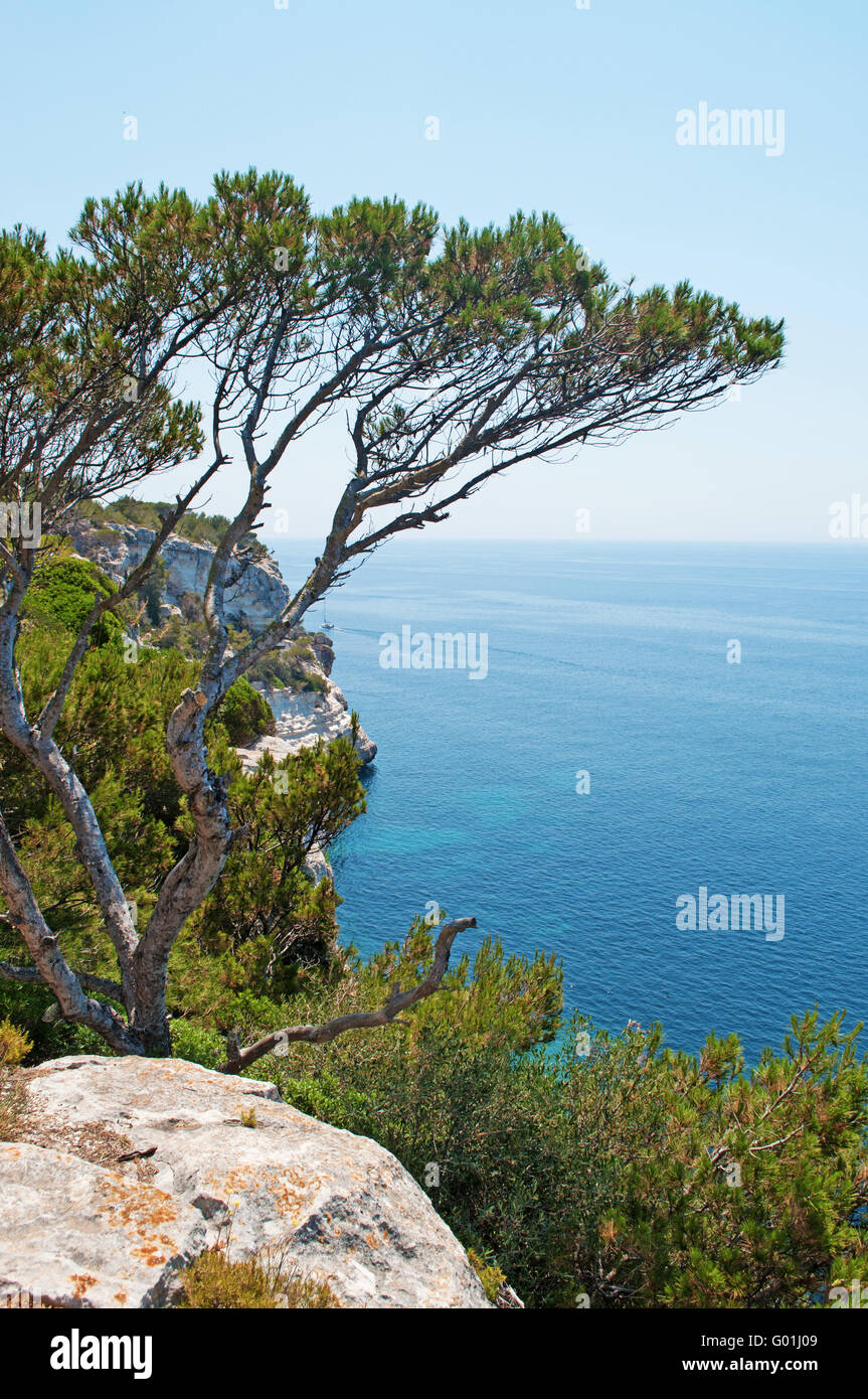 Menorca, Balearen, Spanien: mediterrane Macchia und das klare Wasser in Cala Galdana, bekannt als die Königin der Calas Stockfoto