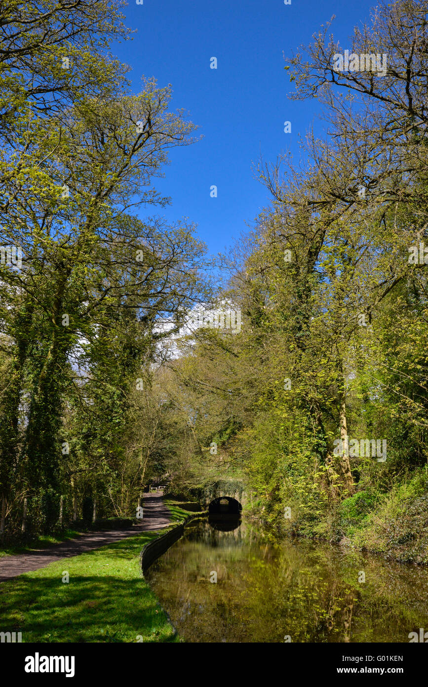 Einem schönen Frühlingstag auf dem Peak Forest-Kanal in der Nähe von Miss Marple, Stockport. Stockfoto