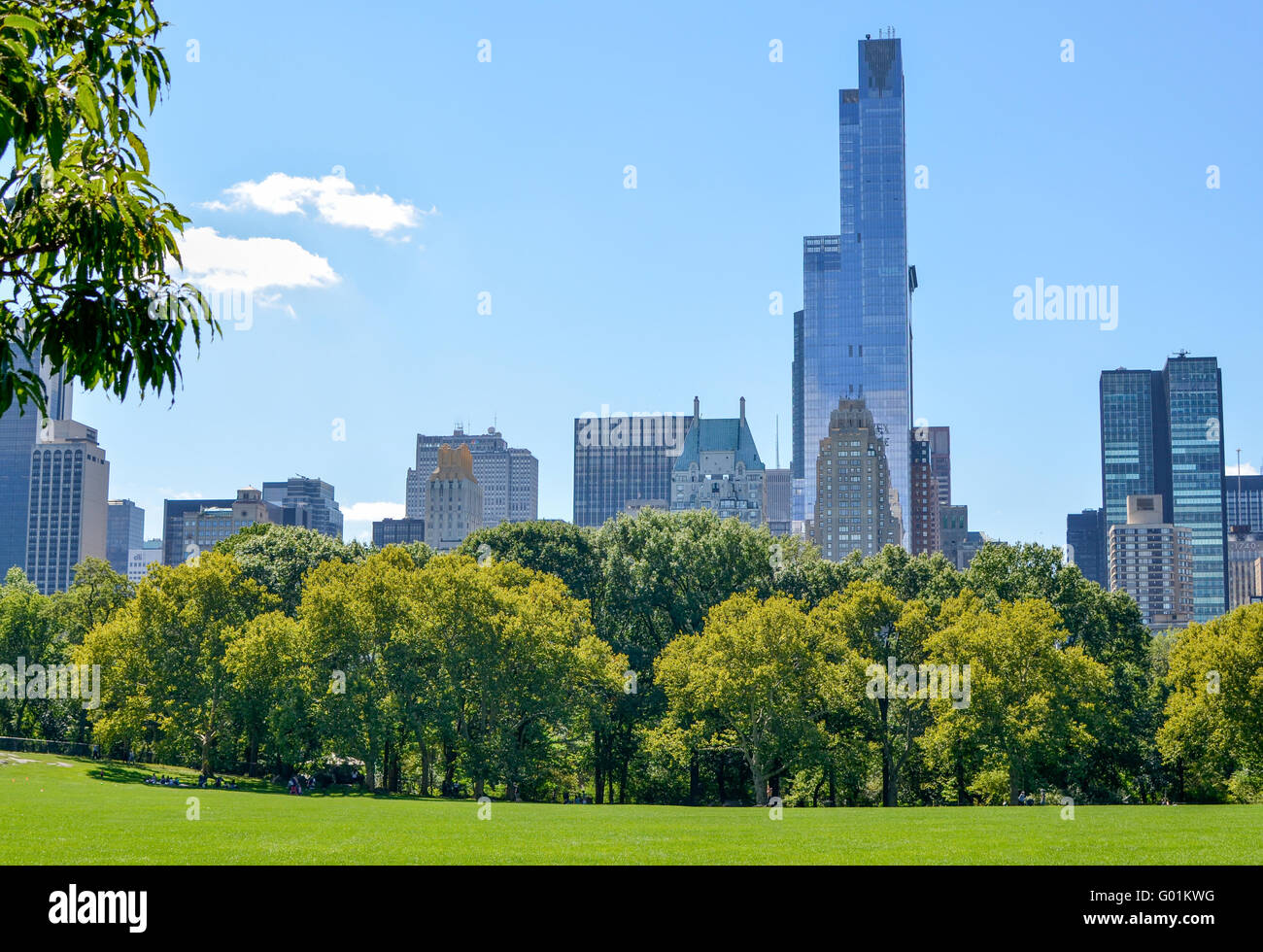 Blick aus dem Central Park Rasen an Schafe weiden Stockfoto