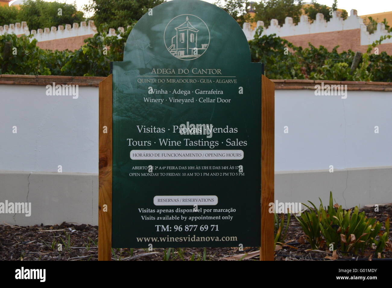 Cliff Richard Weingut Adega De Cantor in Guia, Algarve, Portugal. Stockfoto