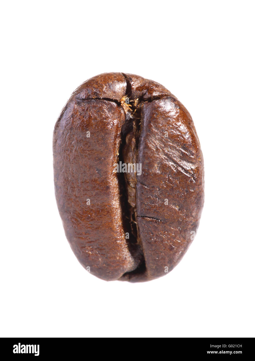 Eine geröstete Kaffeebohne isoliert auf weißem Hintergrund. Stockfoto