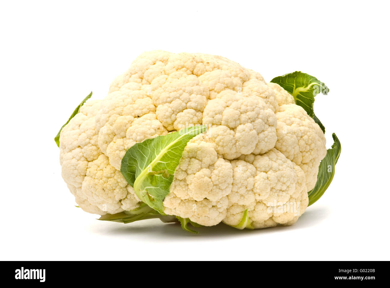 Frischer Blumenkohl Kopf. Isoliert auf weißem Hintergrund. Stockfoto