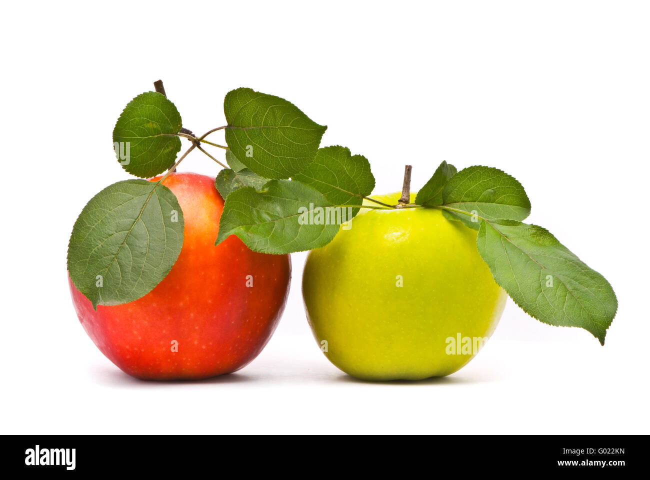 Rote und grüne frische Äpfel mit Blättern auf Studio weiß Stockfoto