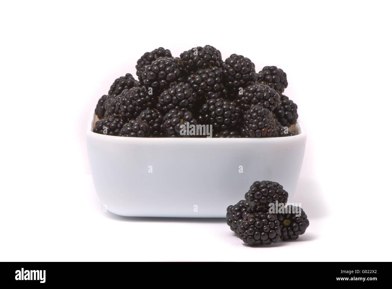Neue Blackberry in einem weißen Teller auf weißem Hintergrund. Stockfoto