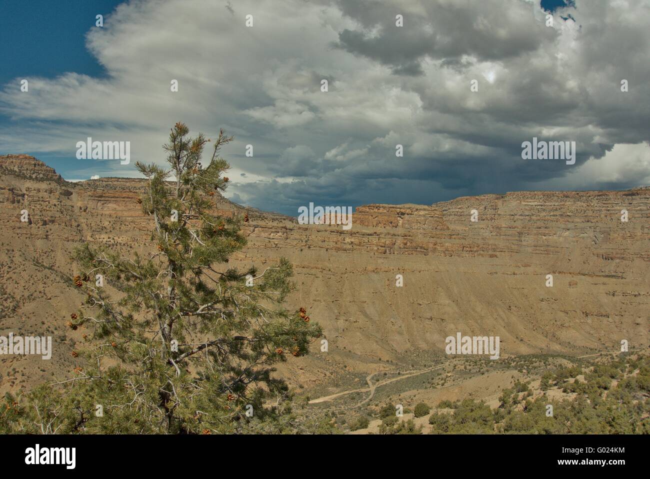 Blick auf Kohle Canyon von Mount Lincoln in Colorado's Buch Klippen. Stockfoto