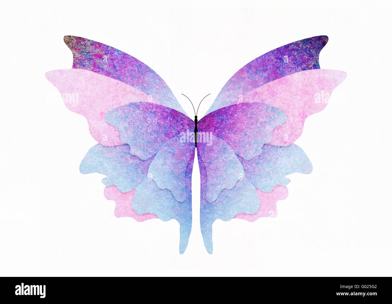 Strukturierte Schmetterling Stockfoto