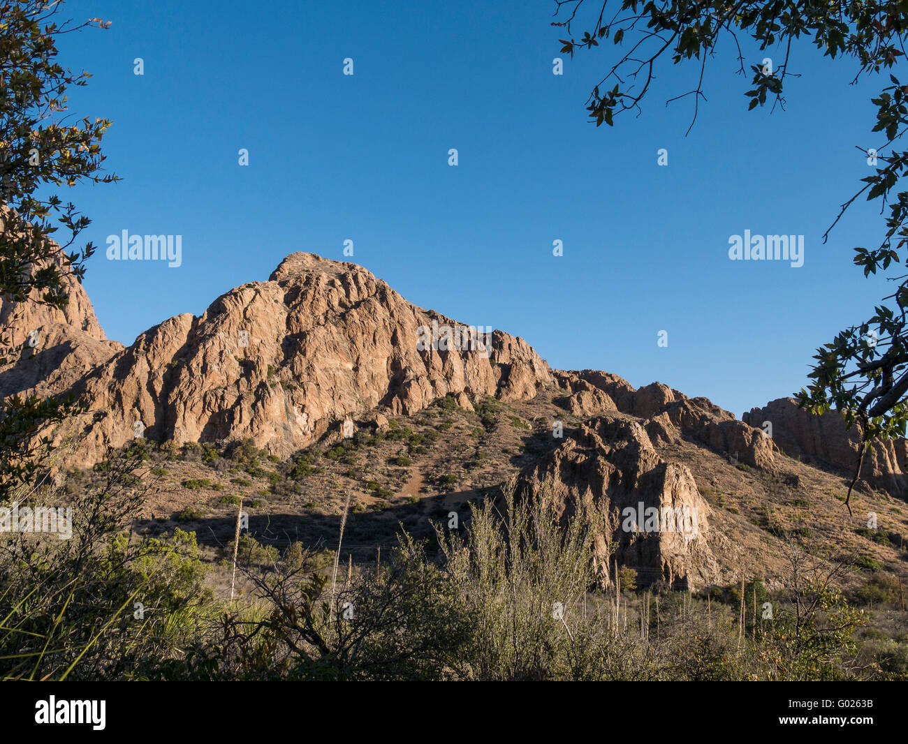 Sonnenaufgang in den Bergen, Chisos Basin Road, Big Bend Nationalpark, Texas. Stockfoto