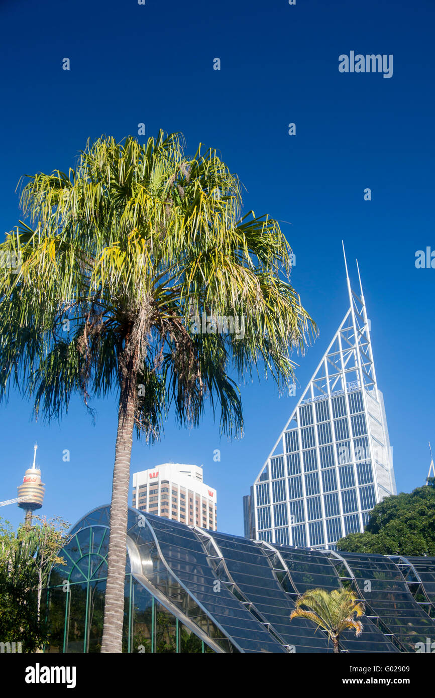 Royal Botanic Gardens Garten und die Stadt Skyline CBD Wolkenkratzer Sydney NSW Australia Stockfoto