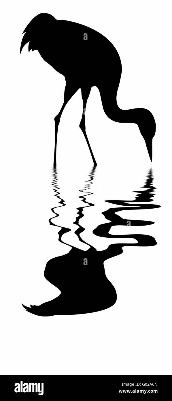 Vektor-Silhouette des Krans auf weißem Hintergrund Stockfoto