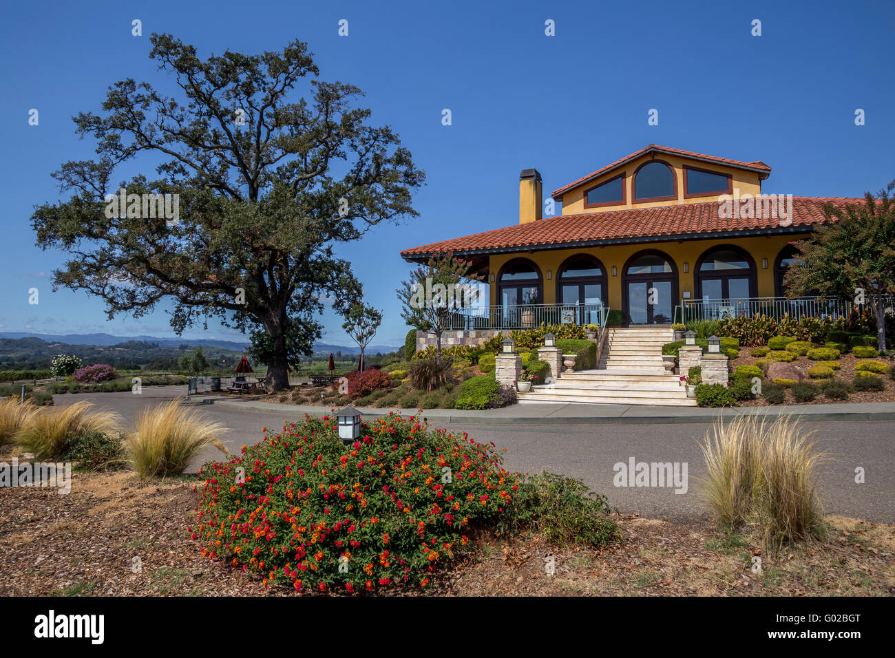 Zimmer im mediterranen Stil, Weinprobe, Weinproben, Weinverkostung, Hanna Weingut, Weinberge, Beaufort, Alexander Valley, Sonoma County, Kalifornien Stockfoto