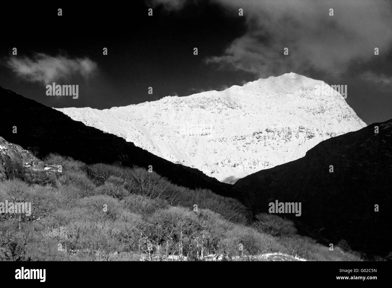 Yr Wyddfa Snowdon schwarz-weiß B&W monochrome Schnee Winter aus South NAntgwynant Snowdonia NAtional Park Gwynedd North Wales Stockfoto