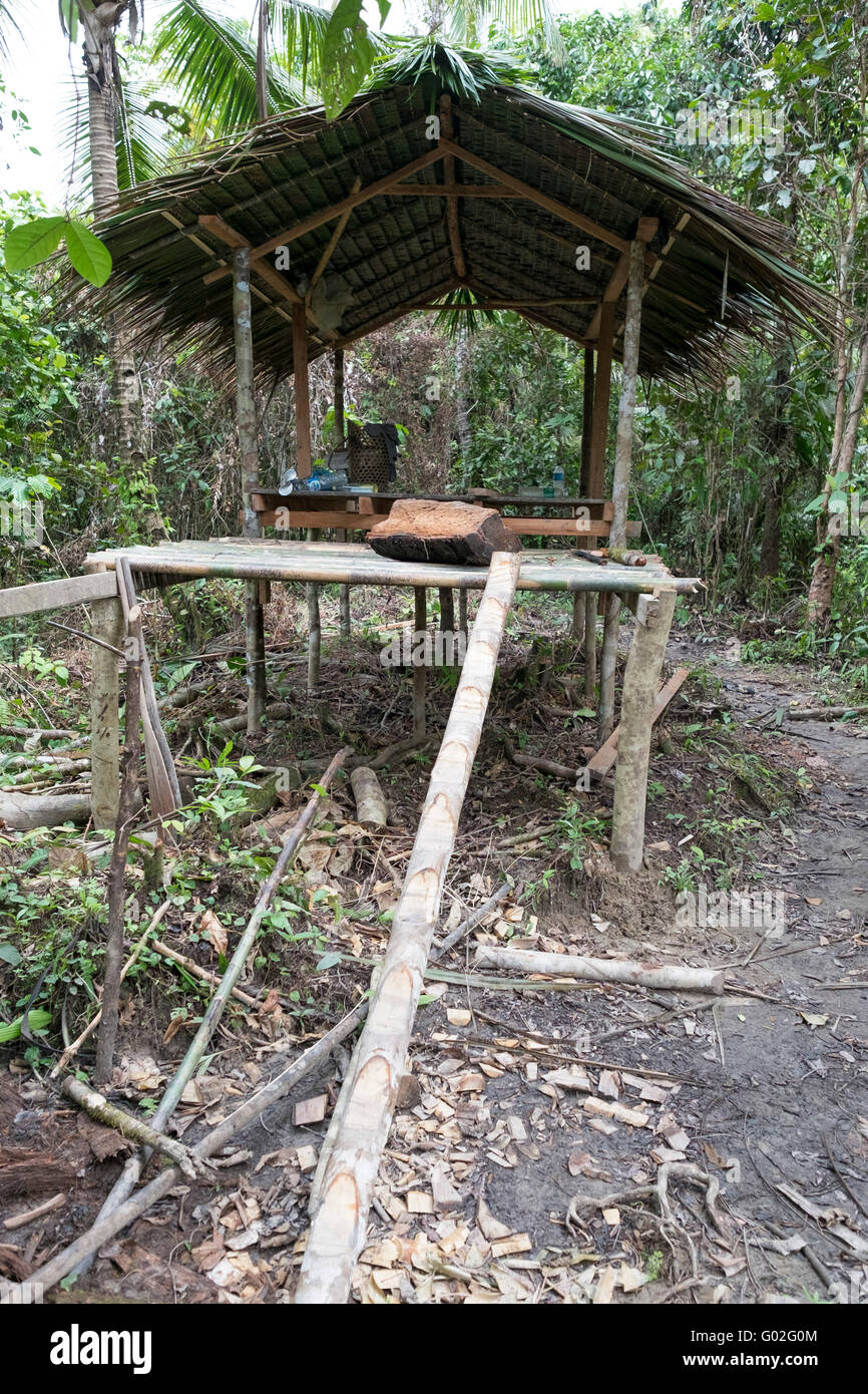 Die Hütte durch Mentawai Stamm zu entwickeln. Stockfoto