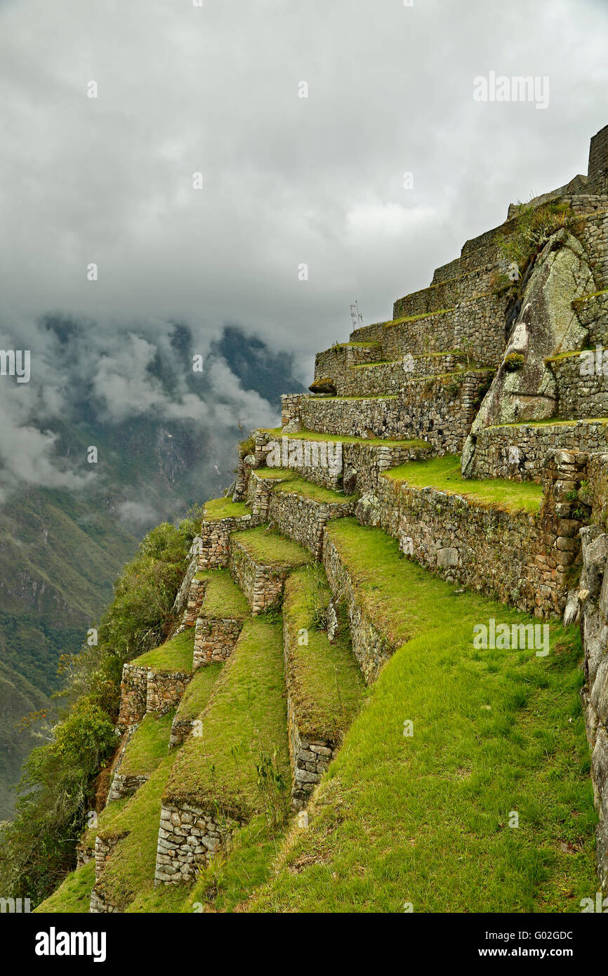 Landwirtschaftlichen Terrassen auf der Klippe, Machu Picchu Inka Ruinen, in der Nähe von Aguas Calientes, aka Machu Picchu Pueblo, Cusco, Peru Stockfoto