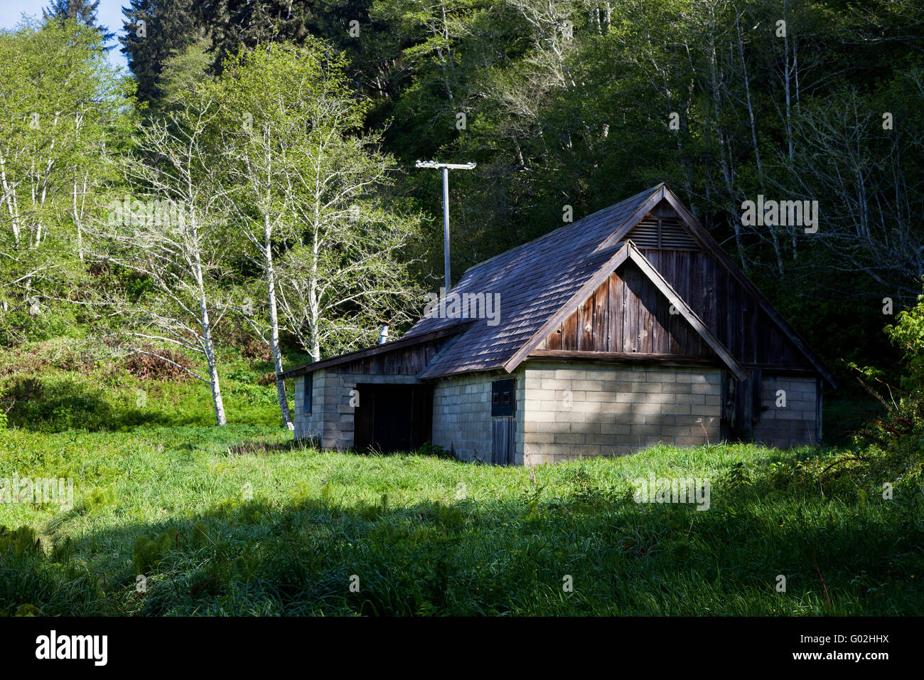 ZWEITEN Weltkriegs Radar Staion B71 steht immer noch entlang der kalifornischen Küste im Redwood National Park. Stockfoto