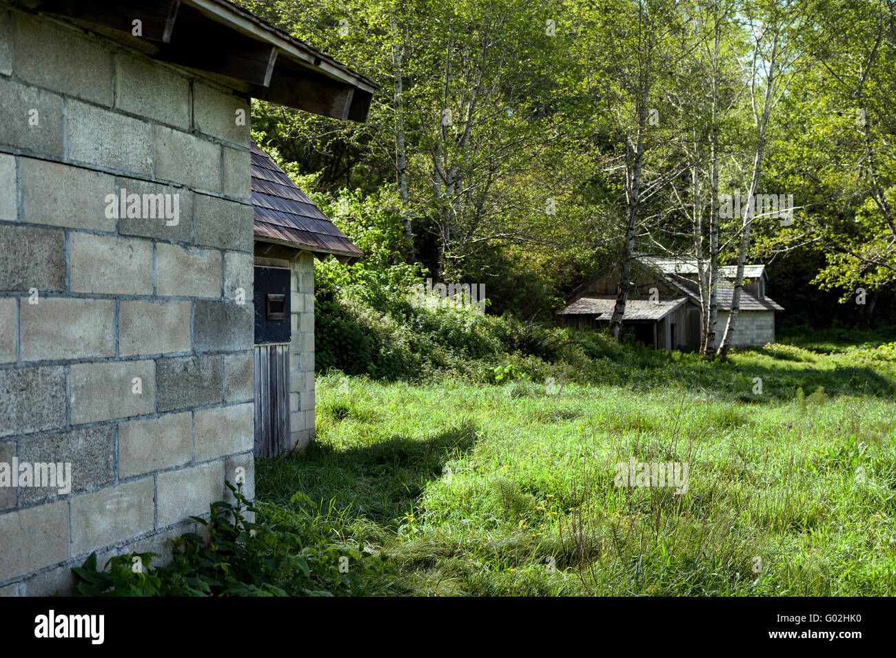 ZWEITEN Weltkriegs Radar Staion B71 steht immer noch entlang der kalifornischen Küste im Redwood National Park. Stockfoto
