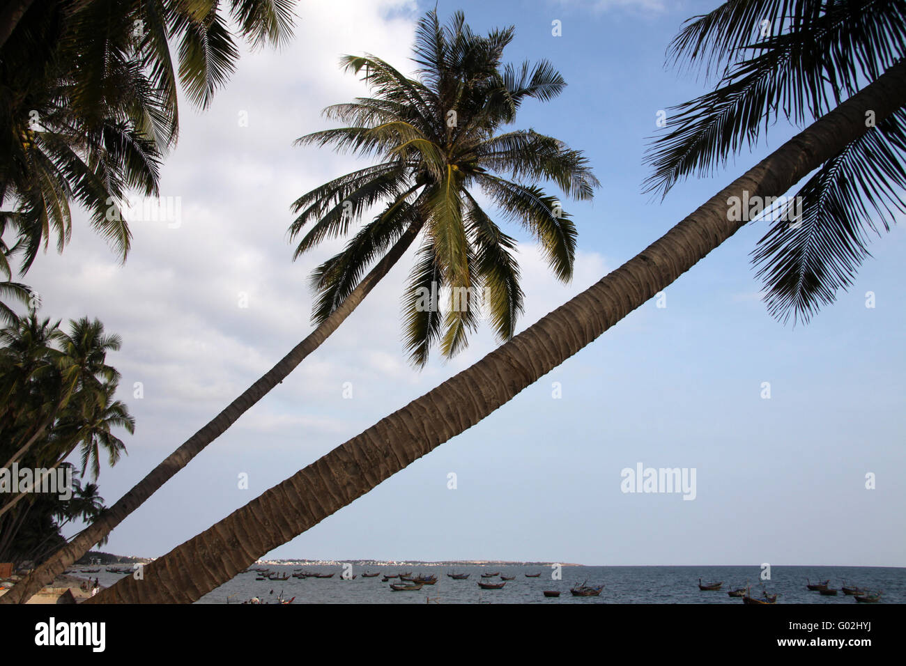 Palm Beach Stockfoto