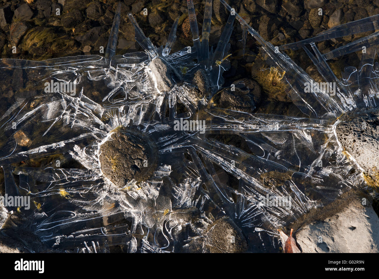 Island, gefroren Creek im Hochland Stockfoto