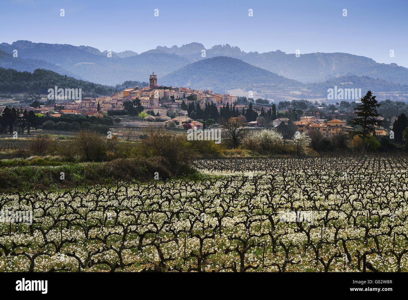 Weinberge und das Dorf von Sablet, Provence Stockfoto