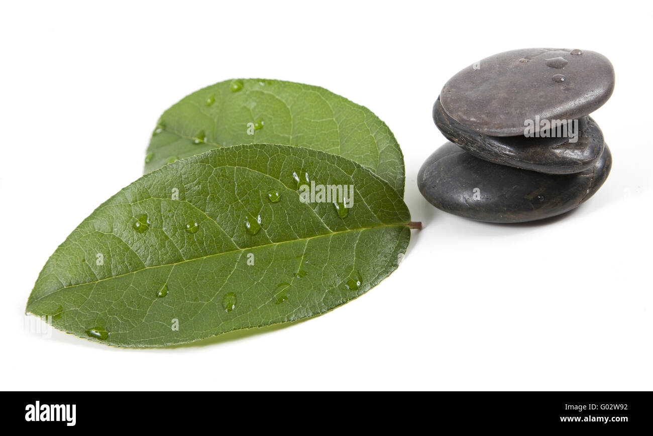 Zen Steinen und Blättern mit Wassertropfen Stockfoto