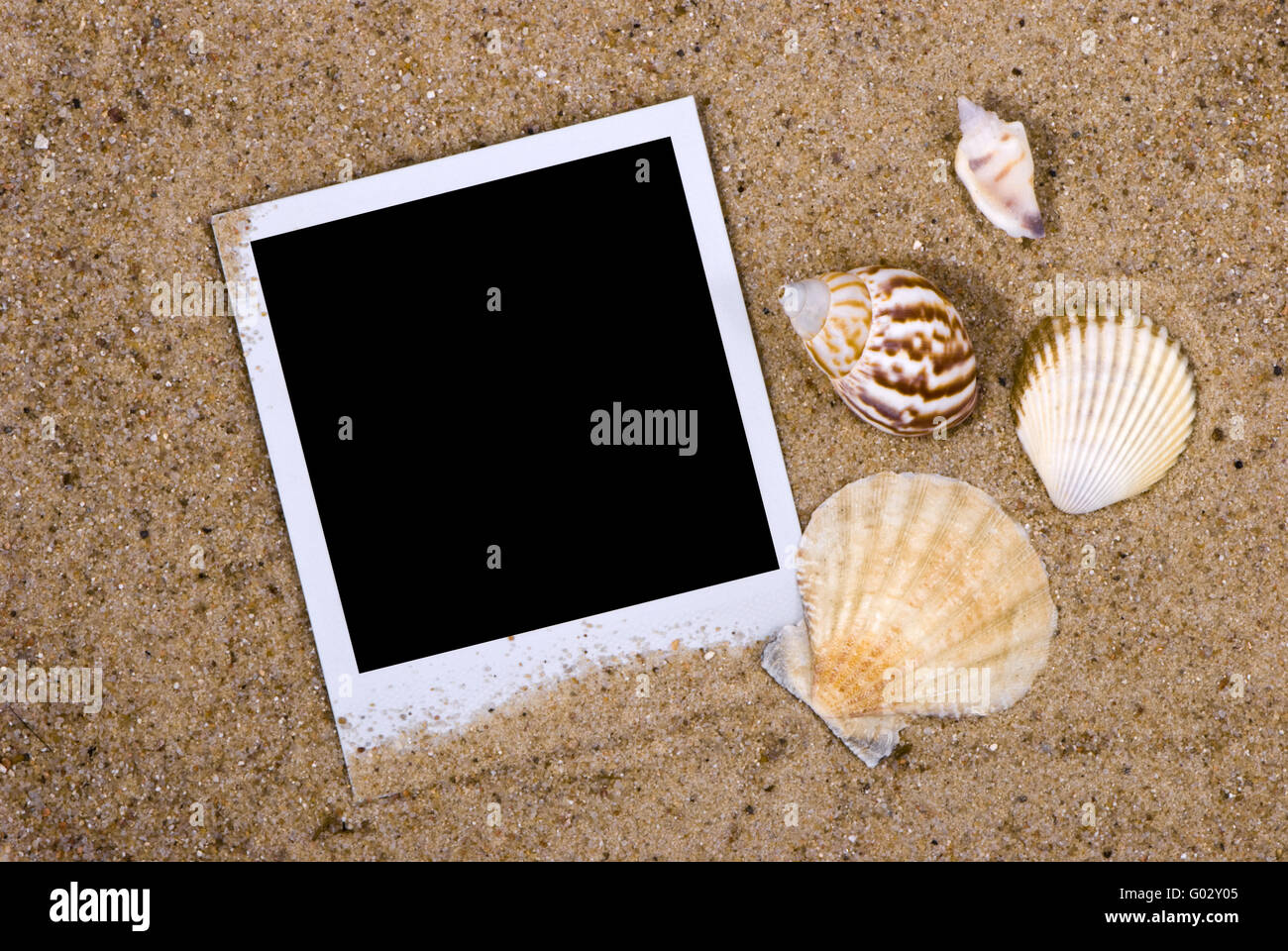 Bilderrahmen mit Muscheln auf Sand Hintergrund Stockfoto