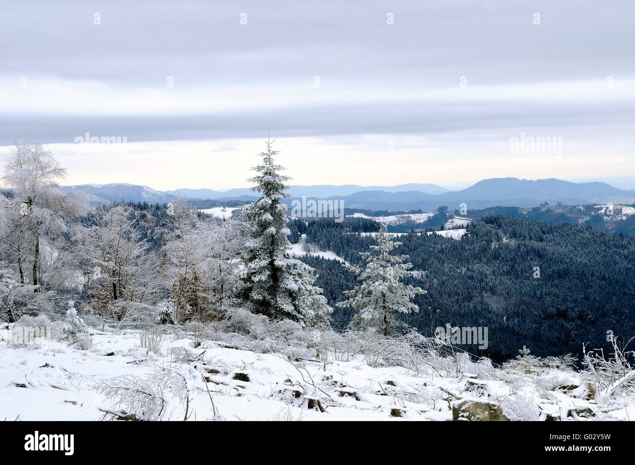 Fernsicht im Winter Schwarzwald Deutschland Stockfoto