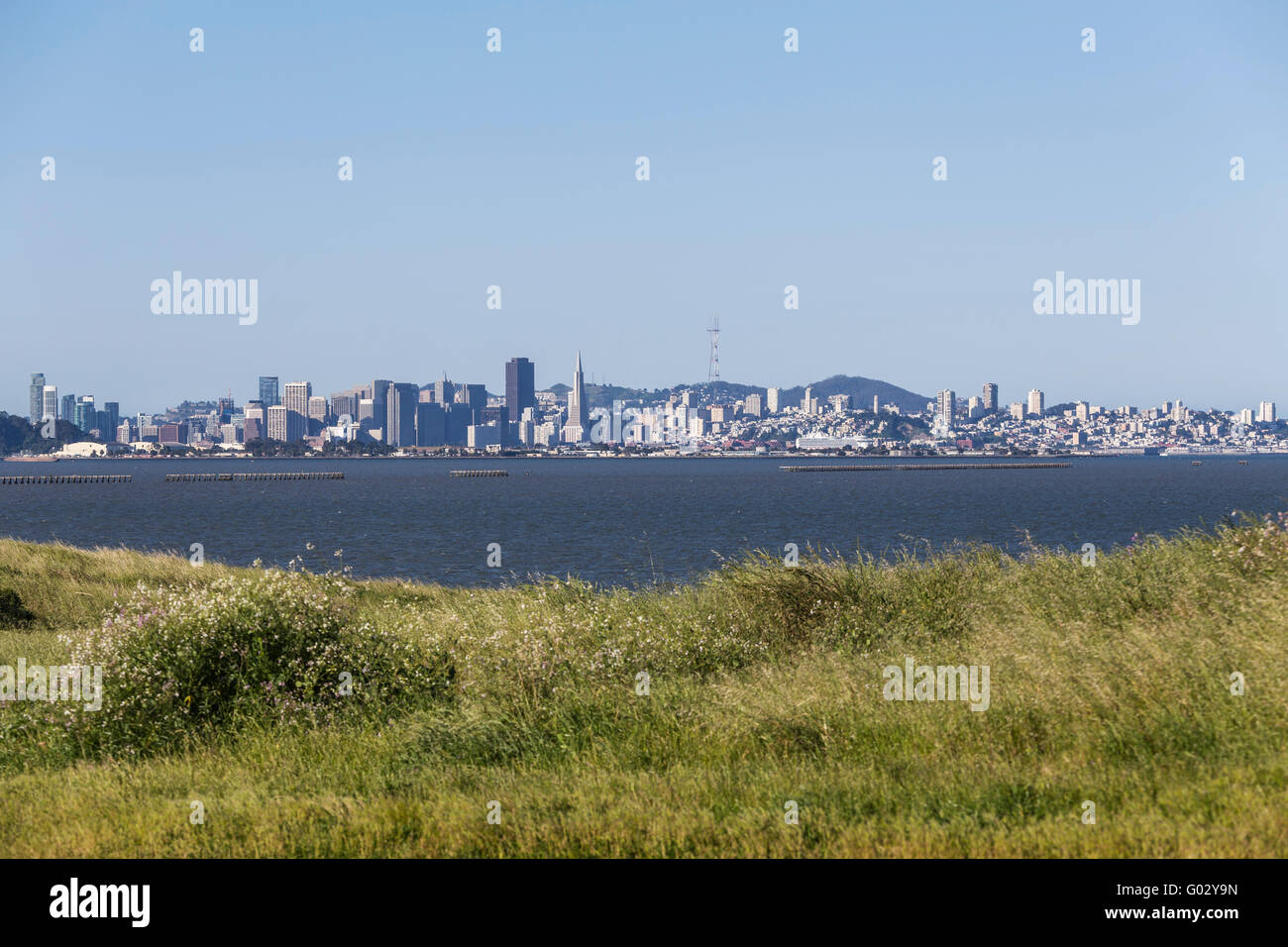 Morgen Wiese Blick über die Bucht von San Francisco. Stockfoto