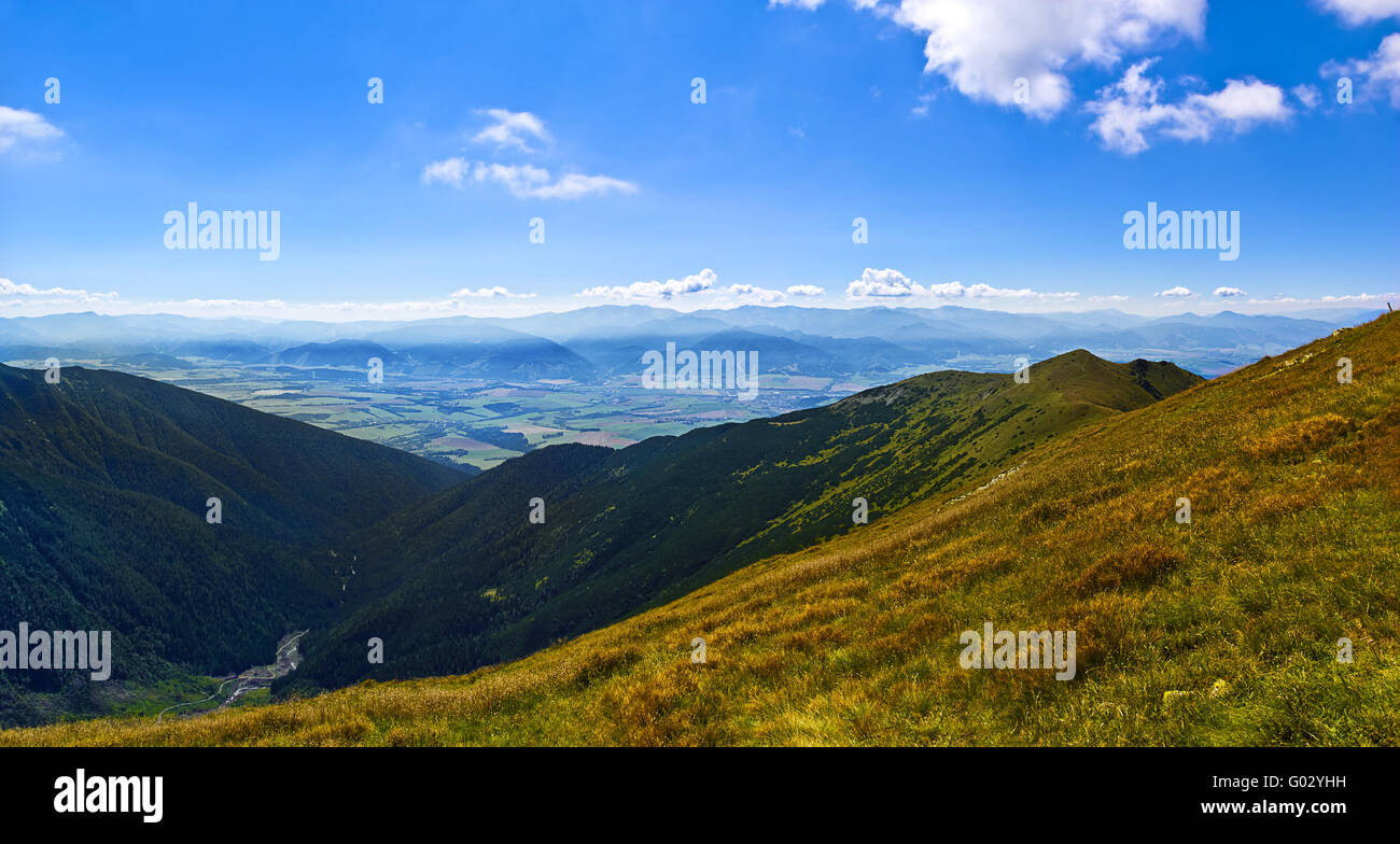 Wunderschöne Landschaft mit Wald und Berg im Hintergrund Stockfoto