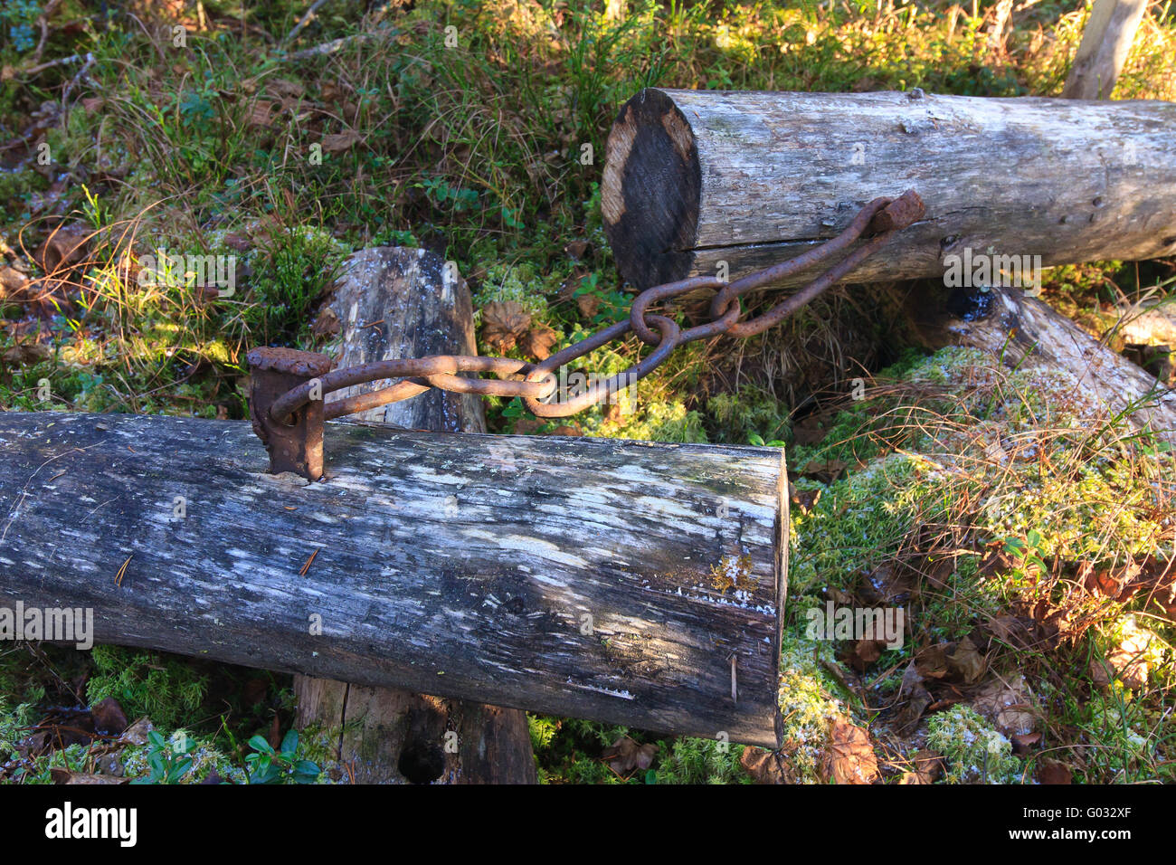 verkettete Baumstamm Stockfoto