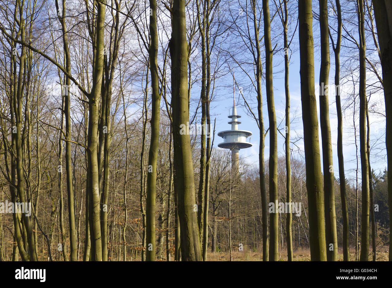 Turm in den Wald von Aachen-Deutschland Stockfoto