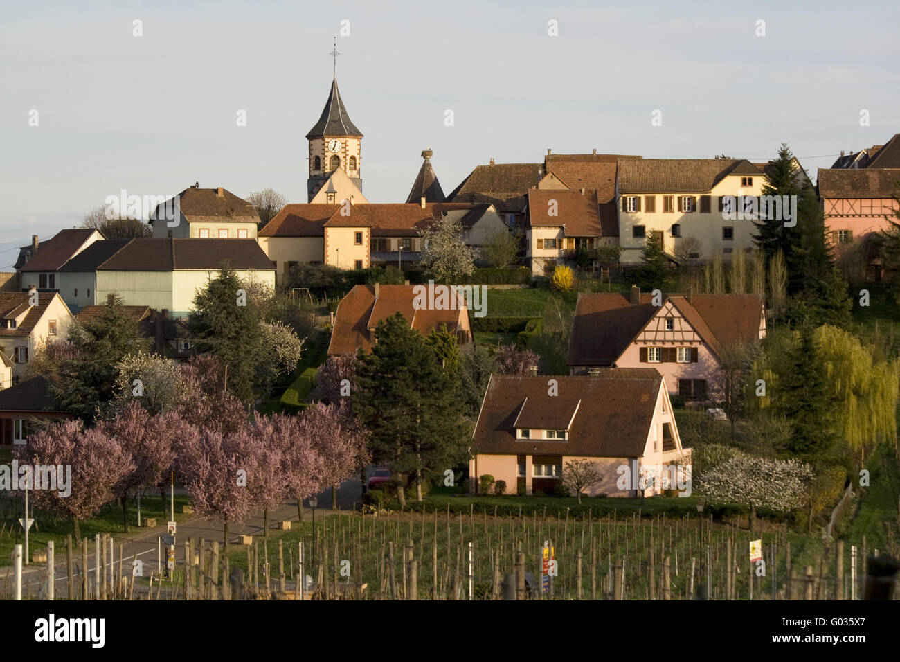 Zellenberg, Elsässer Wein Route, Frankreich Stockfoto