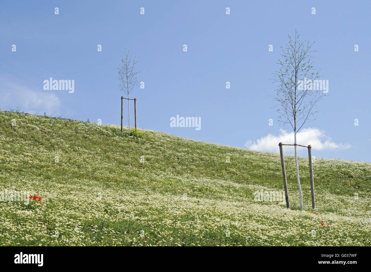 künstliche Heap am See Phoenixsee auf dem Gelände des ehemaligen Stahlwerks Hermannshuette Stockfoto